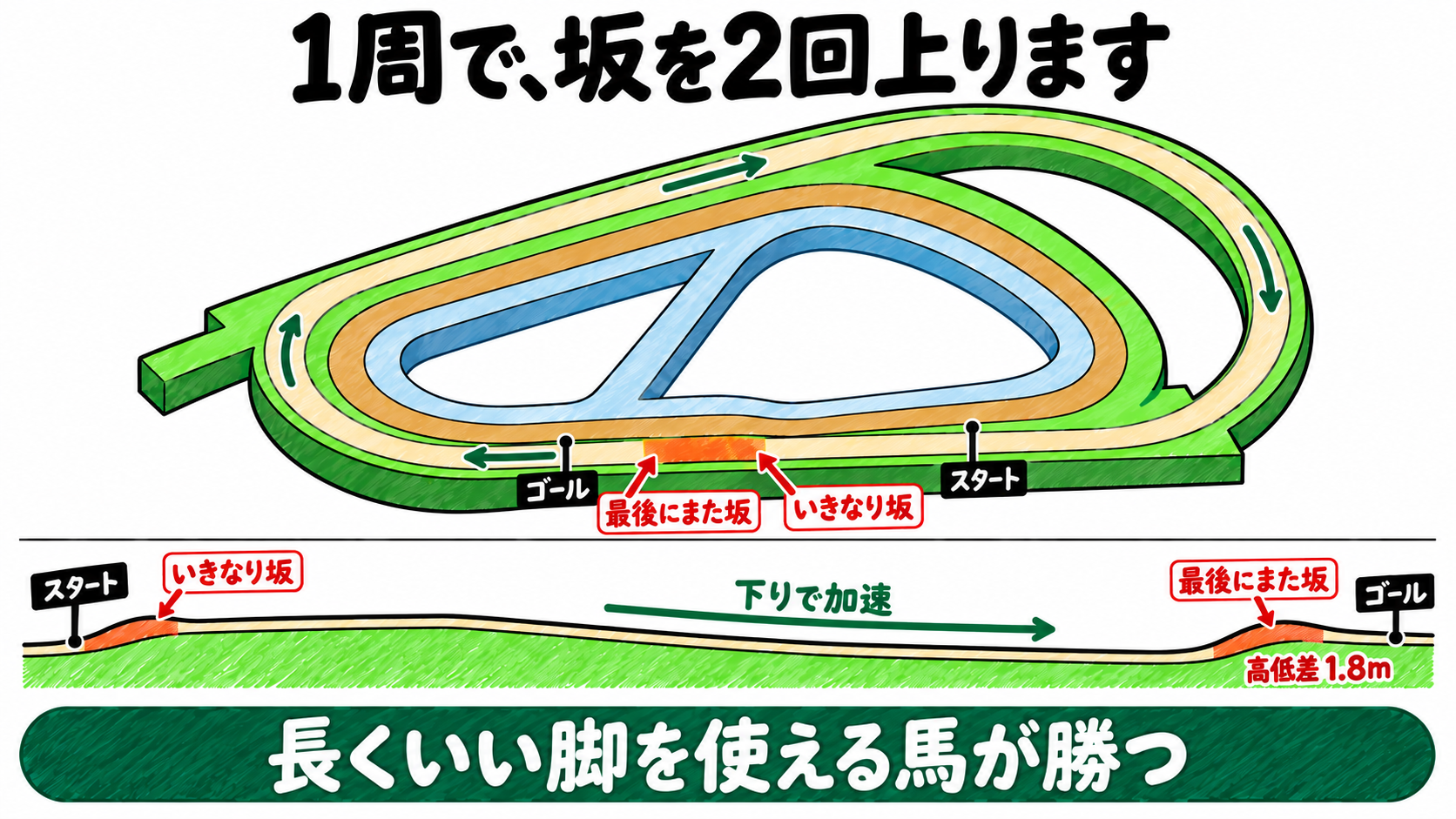 阪神・芝2000mは1周で坂を2回上る。スタート直後にいきなり坂、最後にまた坂。下りで加速。高低差1.8m。長くいい脚を使える馬が勝つ
