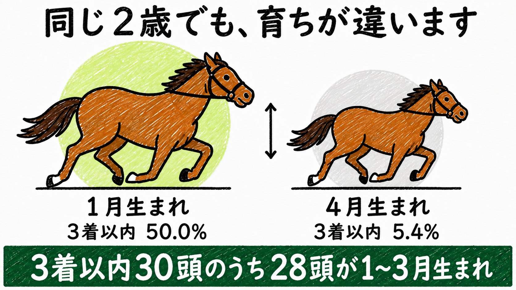 同じ2歳でも育ちが違います。3着以内30頭のうち28頭が1〜3月生まれ