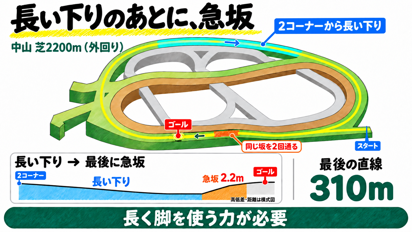中山・芝2200m外回りは長い下りのあとに急坂。2コーナーから長い下り、同じ坂を2回通る。最後の直線310mに高低差2.2mの急坂。長く脚を使う力が必要