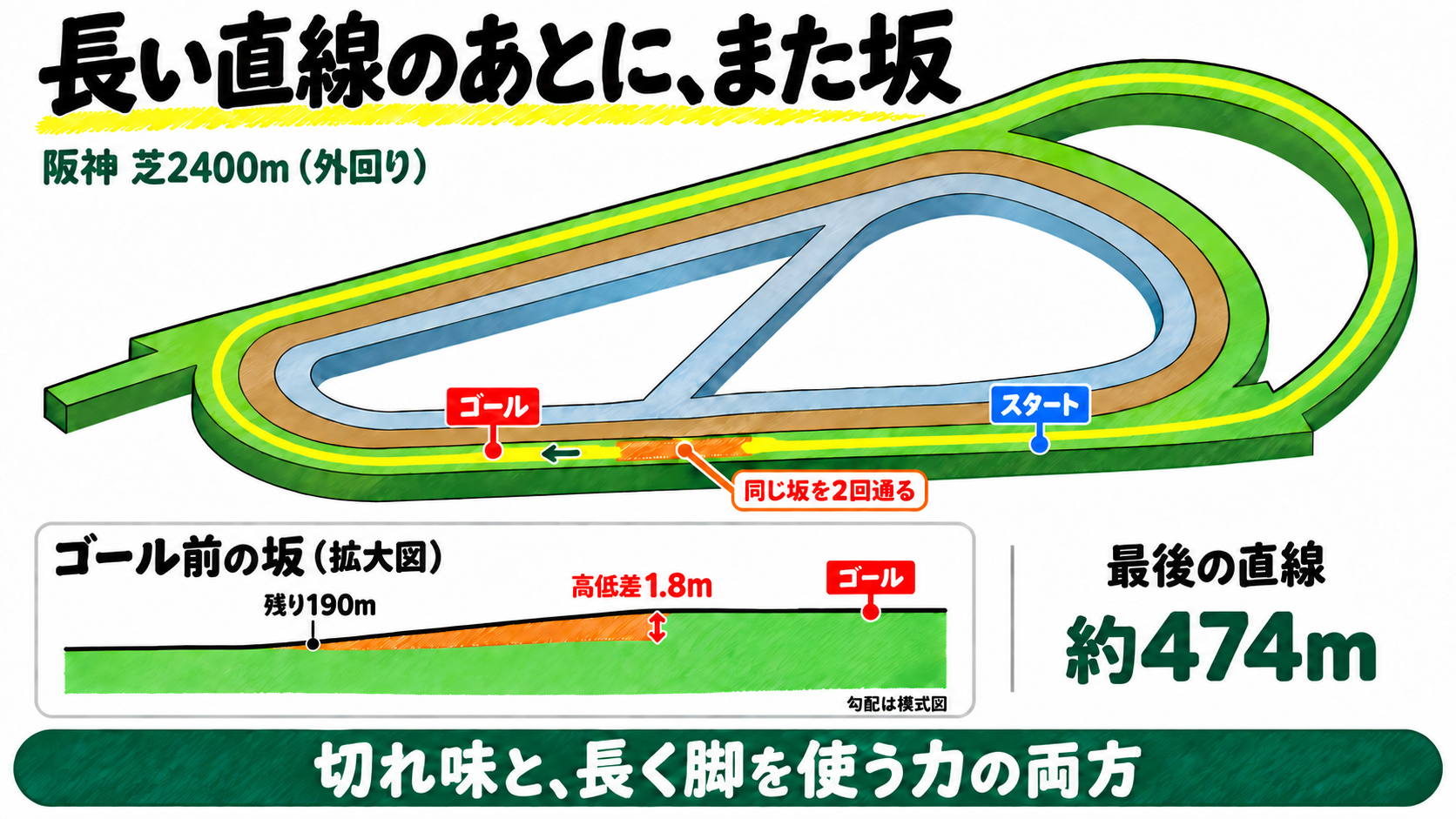 阪神・芝2400m外回りは長い直線のあとにまた坂。スタートはゴール前の直線で同じ坂を2回通る。最後の直線は約474m、残り190mで高低差1.8mの急坂。切れ味と長く脚を使う力の両方が必要