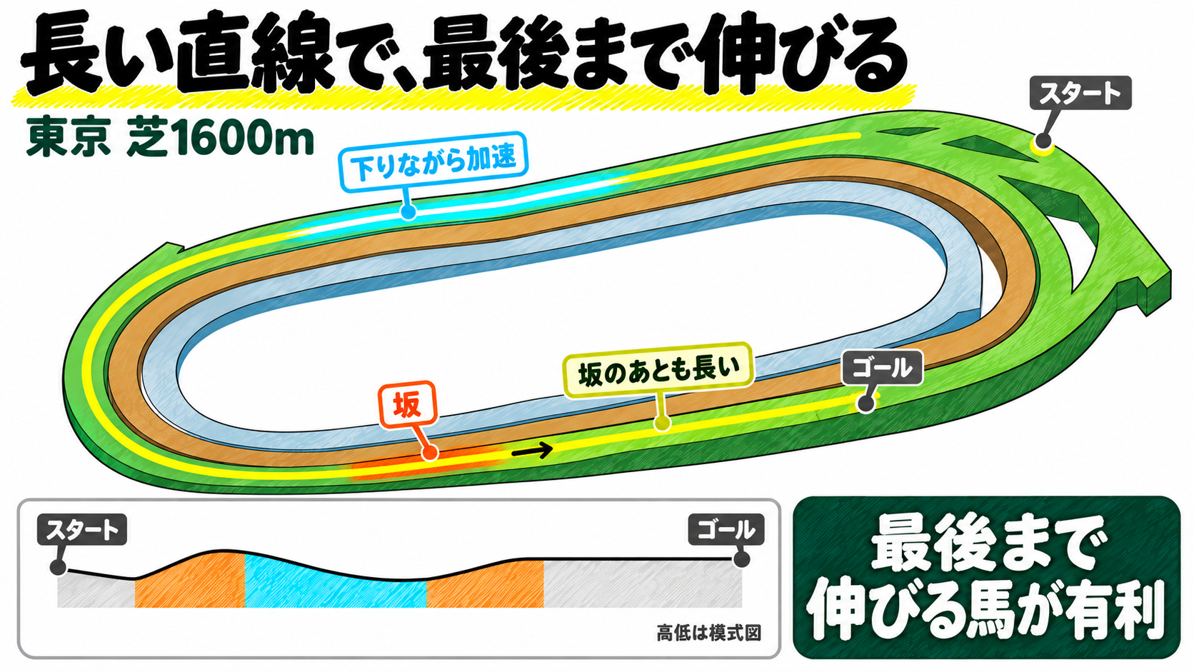 東京芝1600mは長い直線で、最後まで伸びる。スタート後は下りながら加速、最後の直線に坂があり、坂のあとも長い。最後まで伸びる馬が有利