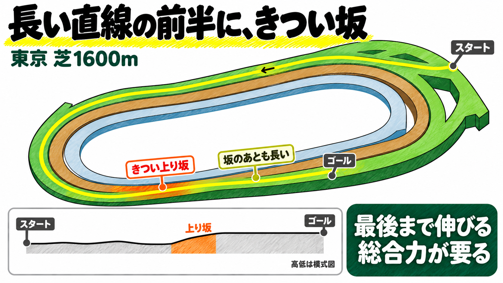 東京芝1600mは長い直線の前半に、きつい坂。2コーナー近くからスタートし、直線の前半にきつい上り坂、坂のあとも長い。最後まで伸びる総合力が要る